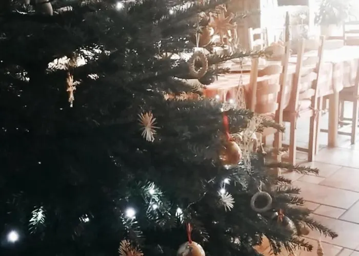 D'hotes Les Hirondelles Bed and Breakfast